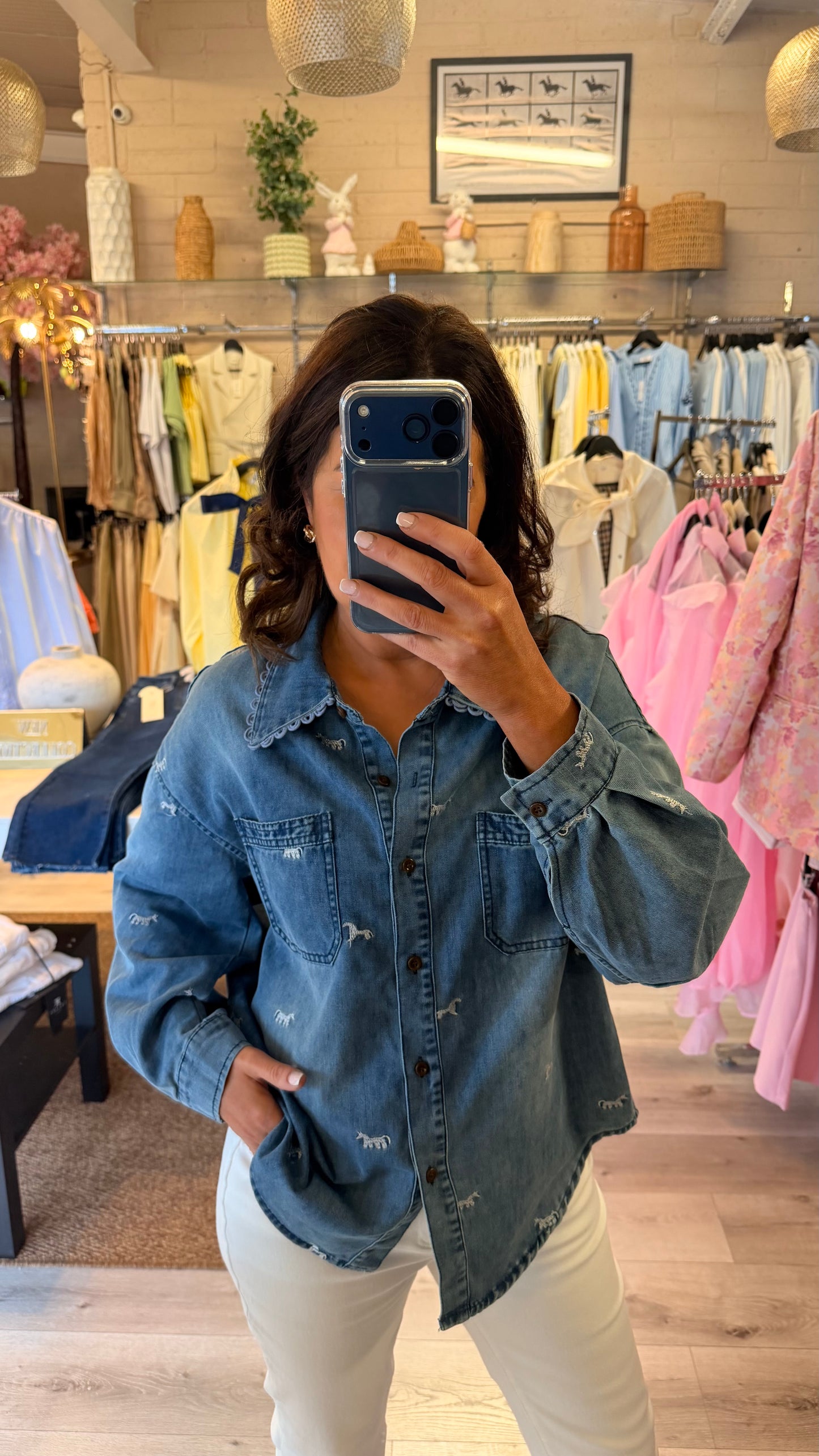 Horse Embroidery Denim Shirt