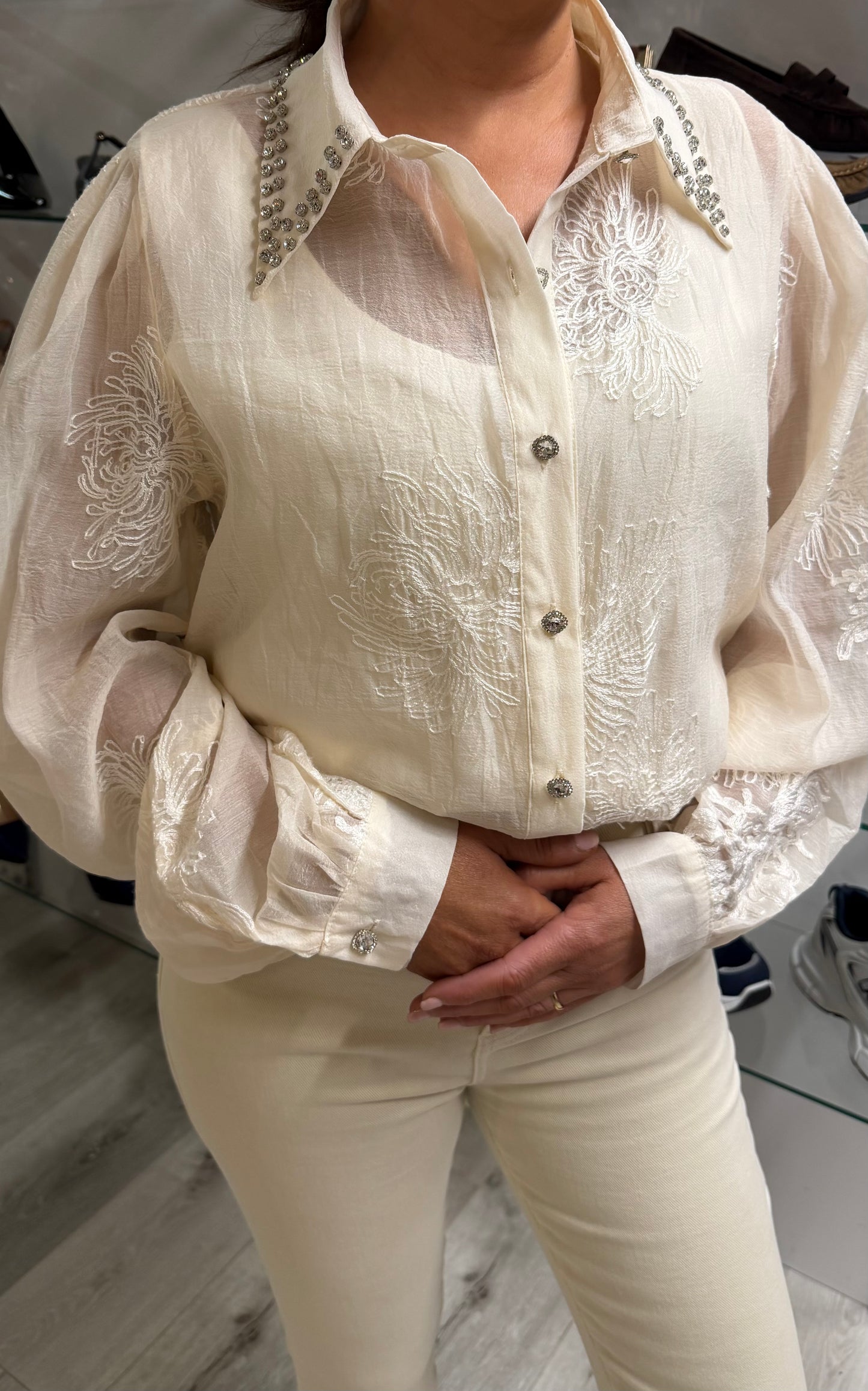 Cream Sheer Embellished Blouse