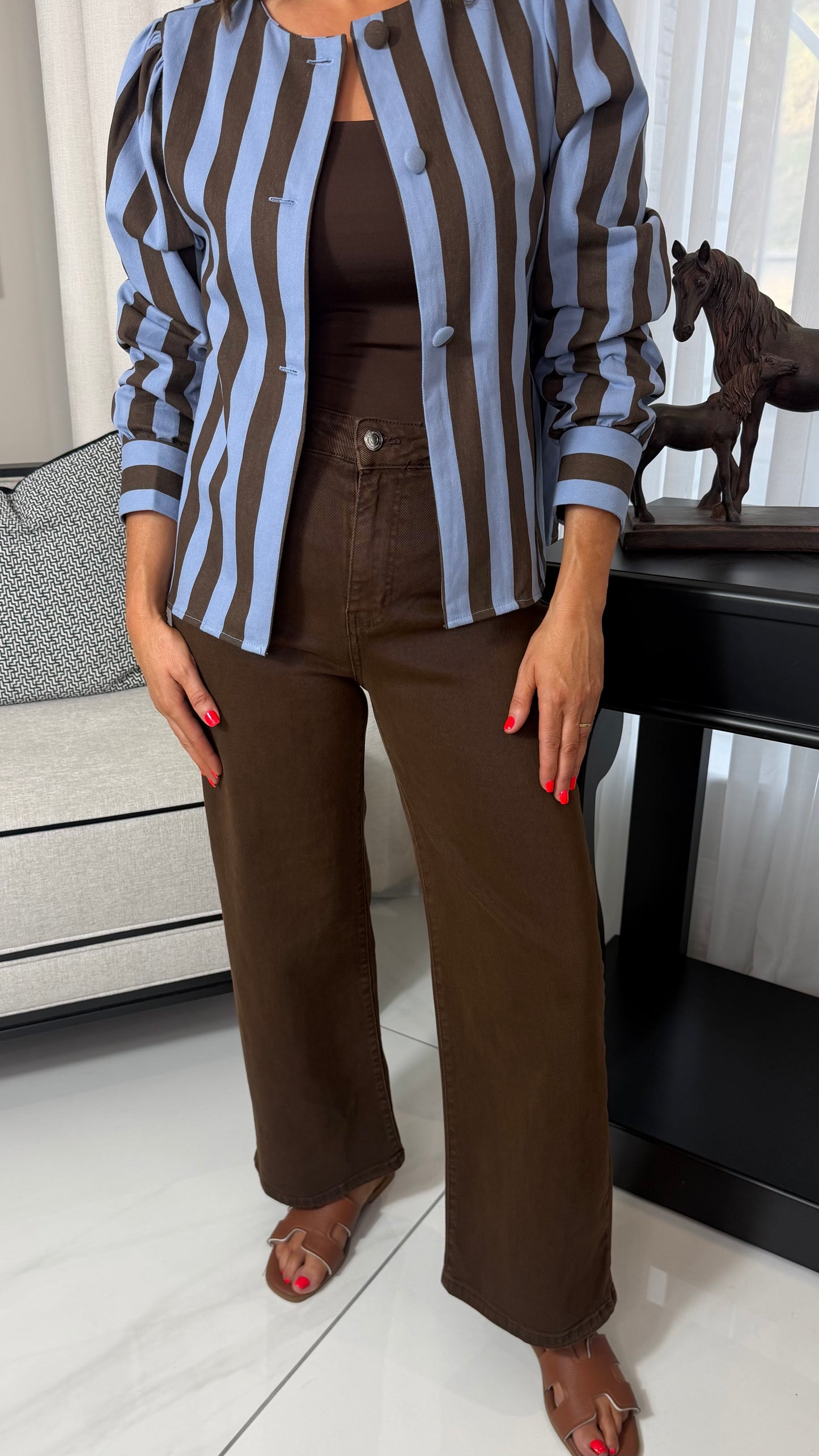 Blue & Chocolate Striped Jacket
