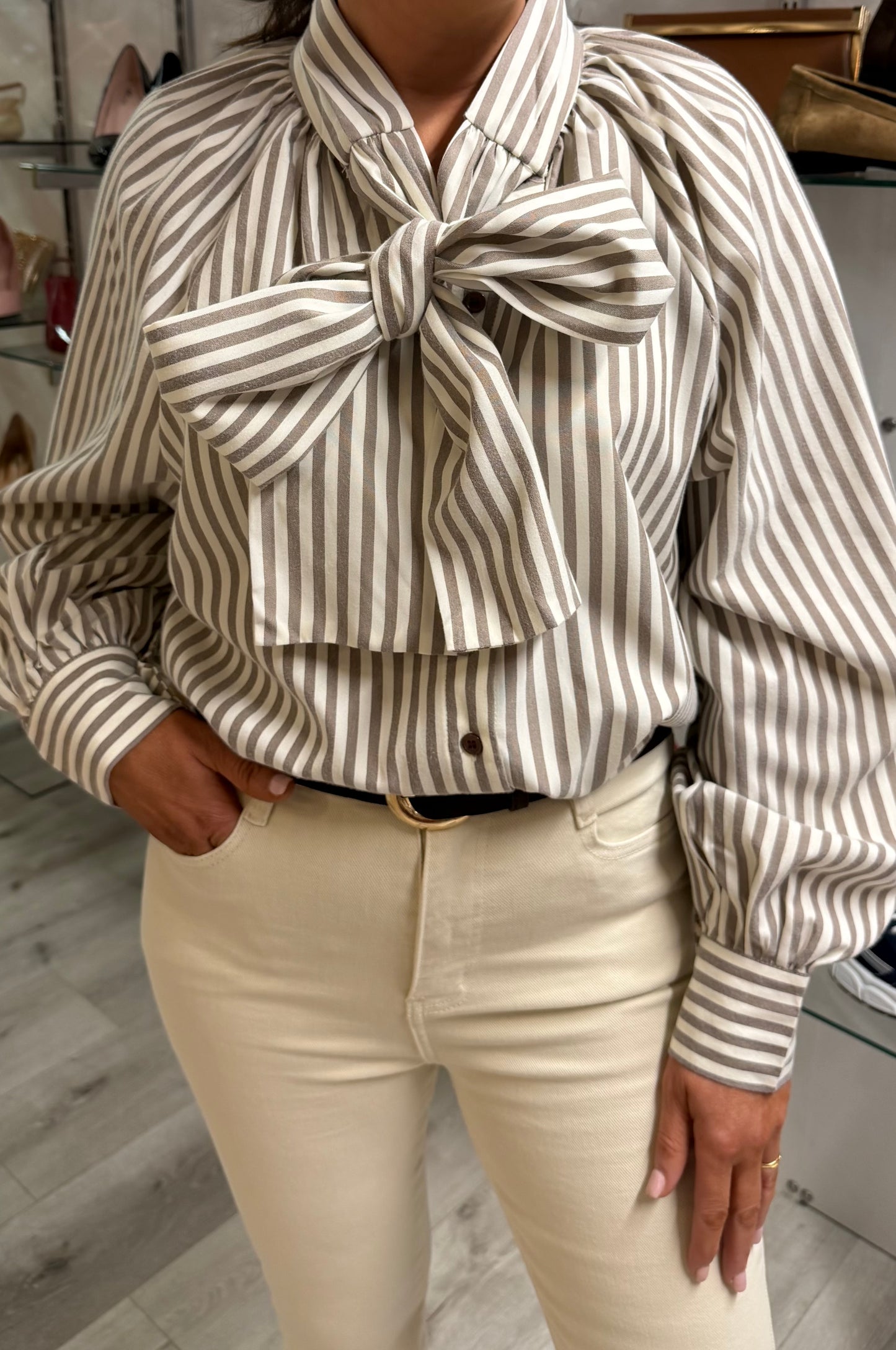 Taupe & Cream Striped Bow Blouse