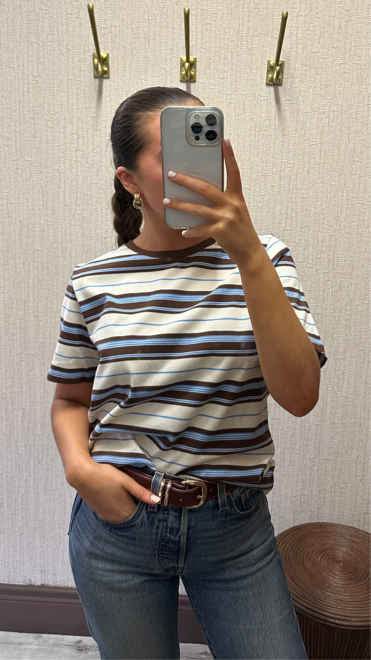 Brown & Blue Striped T-Shirt