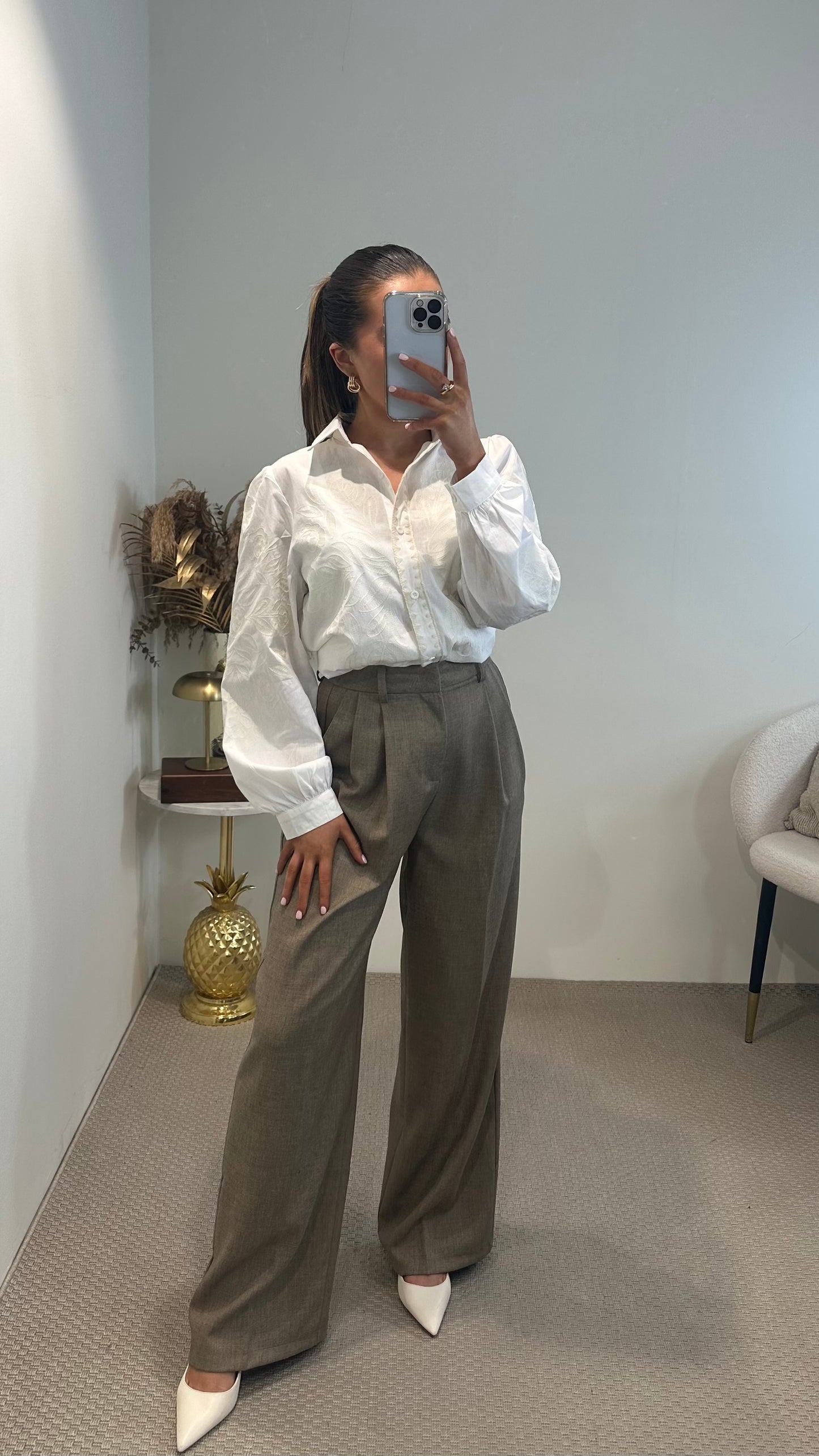 Brown Darted Trousers