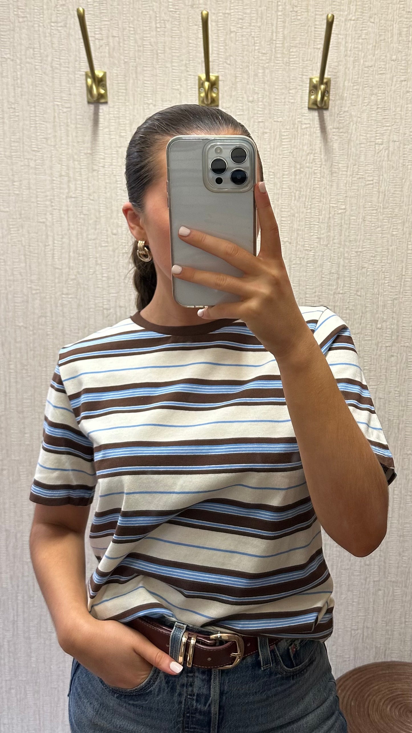Brown & Blue Striped T-Shirt