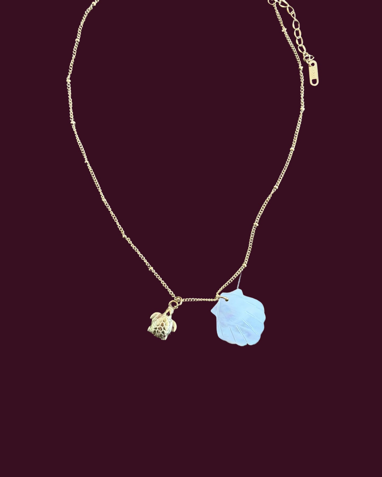 The Shell Necklace