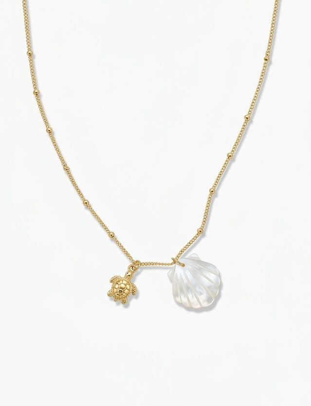 The Shell Necklace